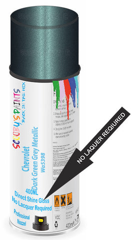 paint for Chevrolet Beretta
