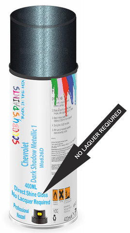 paint for Chevrolet Express