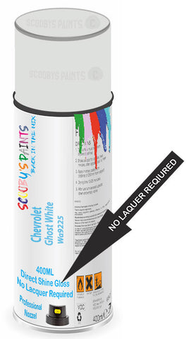 paint for Chevrolet Vans