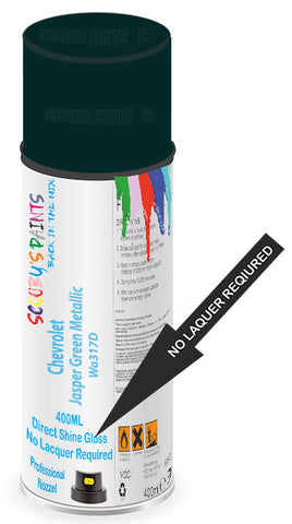 paint for Chevrolet Monte Carlo