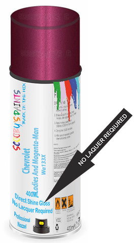 paint for Chevrolet Sonic