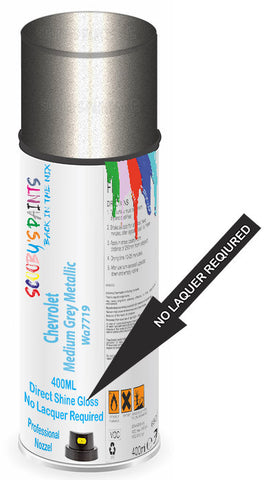 paint for Chevrolet S-Series
