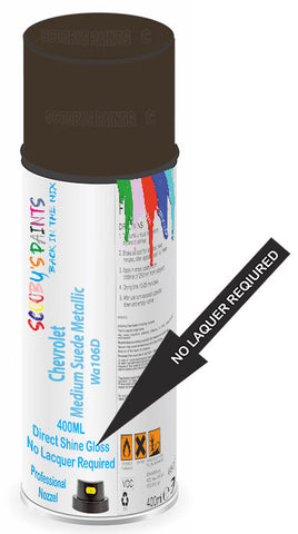 paint for Chevrolet Express