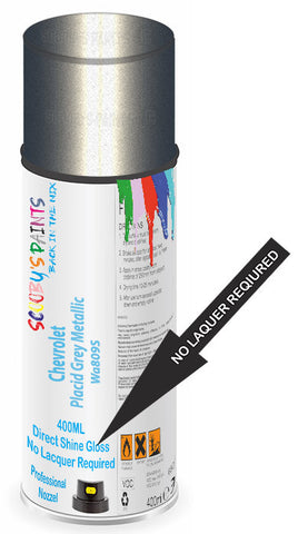 paint for Chevrolet Winstom