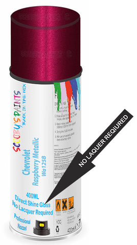 paint for Chevrolet Beretta