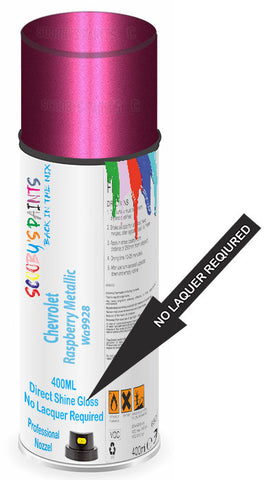 paint for Chevrolet S-Series
