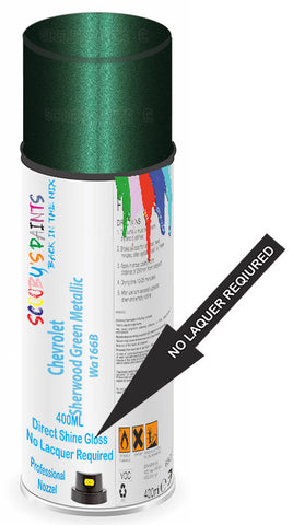 paint for Chevrolet Monte Carlo