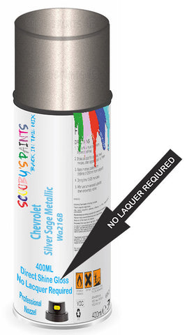 paint for Chevrolet Metro