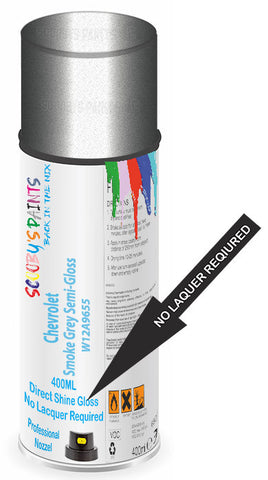 paint for Chevrolet Vans