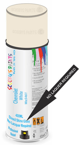 paint for Chevrolet Express