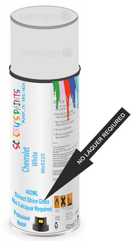 paint for Chevrolet Astro Van