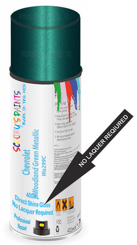 paint for Chevrolet Tracker