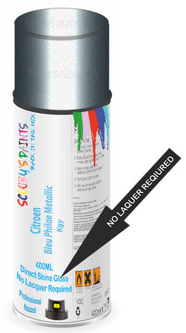 paint for Citroen Ds5