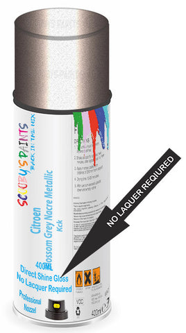 paint for Citroen Ds3