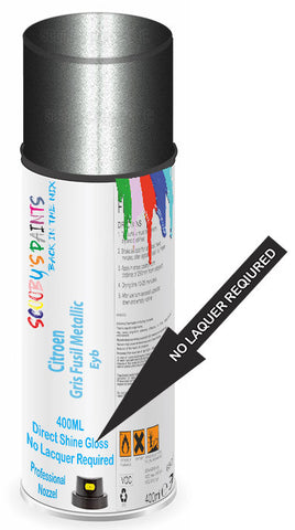 paint for Citroen Bx