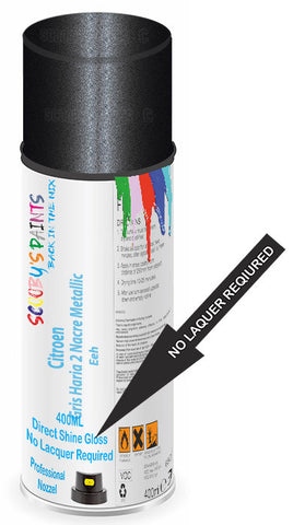 paint for Citroen C6