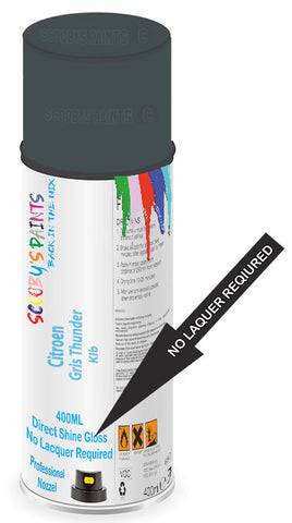 paint for Citroen E-Jumpy