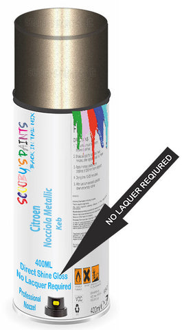 paint for Citroen C-Elysee
