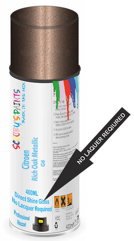 paint for Citroen Space Tourer