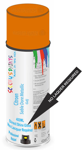 paint for Citroen Cx
