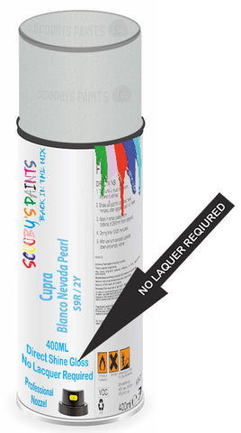 paint for Cupra Formentor