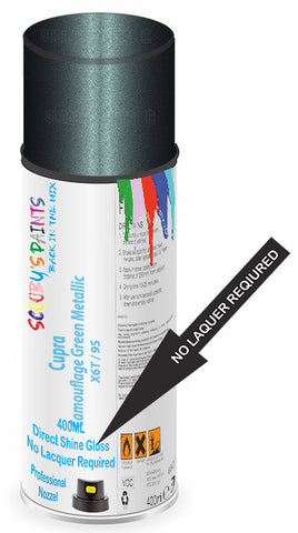 paint for Cupra Formentor