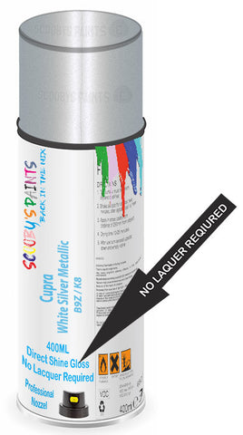 paint for Cupra Tavascan