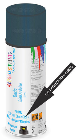 paint for Dacia Spring