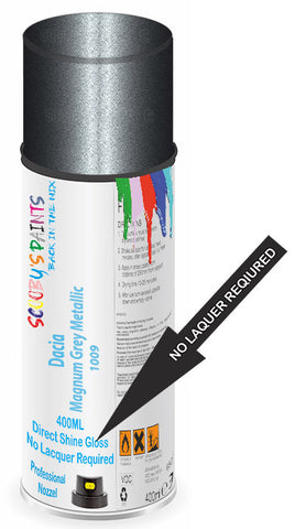 paint for Dacia Nova