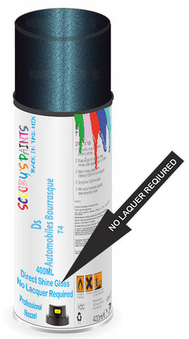 paint for Ds Ds4