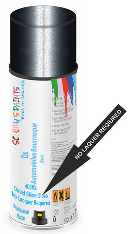 paint for Ds Ds4