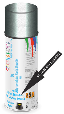 paint for Ds Ds4