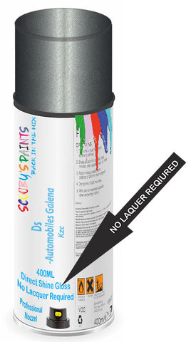 paint for Ds Ds4
