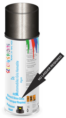 paint for Ds Ds3