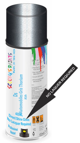 paint for Ds Ds4