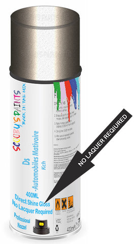paint for Ds Ds3