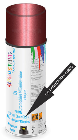 paint for Ds Ds3