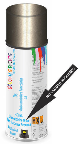 paint for Ds Ds5