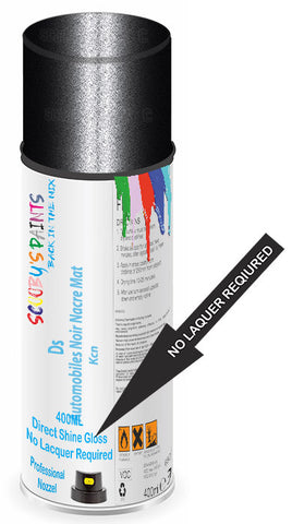 paint for Ds Ds3