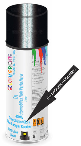 paint for Ds Ds3