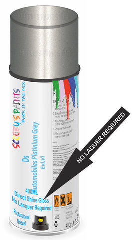 paint for Ds Ds3