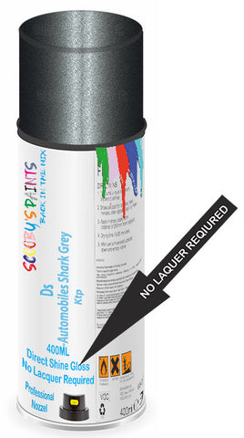 paint for Ds Ds5