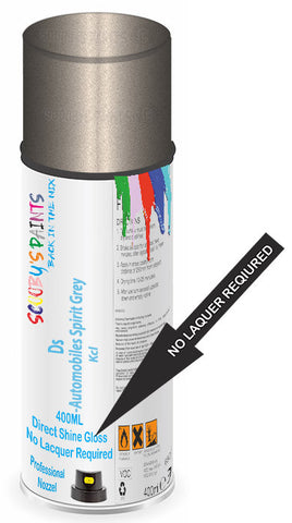 paint for Ds Ds3