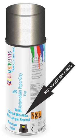 paint for Ds Ds5