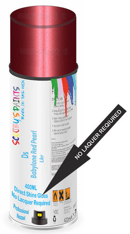 paint for Ds Ds4