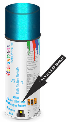 paint for Ds Ds3