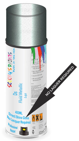 paint for Ds Ds4