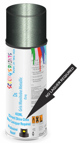 paint for Ds Ds3
