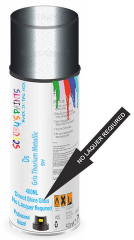 paint for Ds Ds4