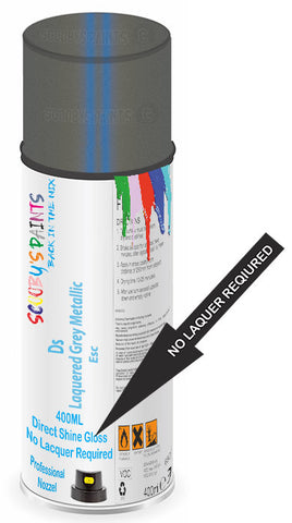 paint for Ds Ds4 E-Tense